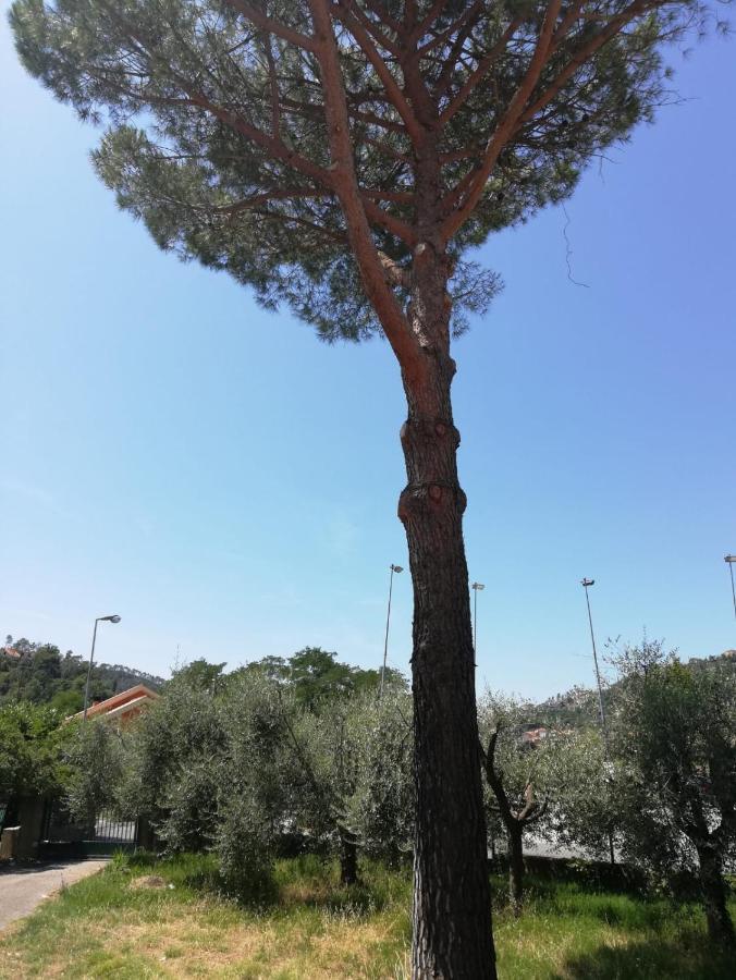 מלון קזארצה ליגורה Ca Du Angiulin מראה חיצוני תמונה